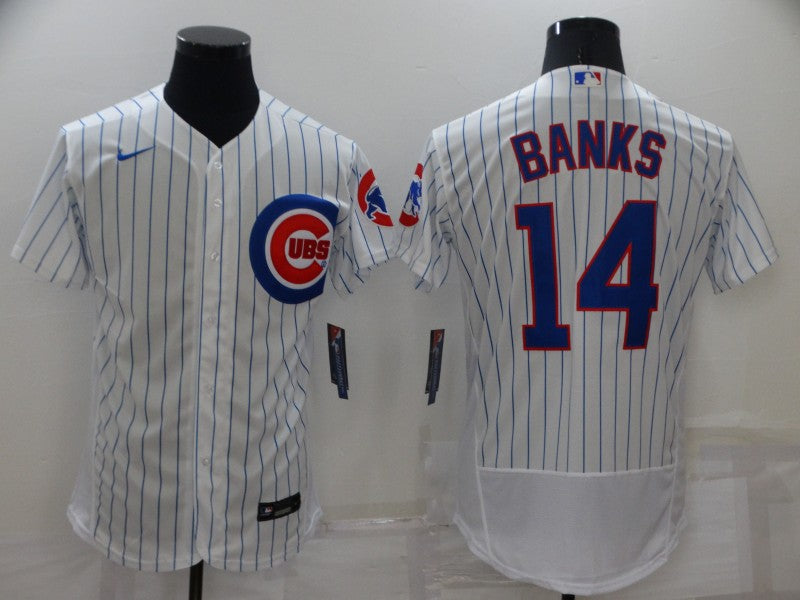 Men's Chicago Cubs Ernie Banks #14 White Baseball Jersey